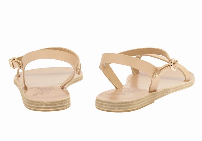 Sandales Bride Arrière Ancient Greek Sandals Irida Leather   | TWV-5119222